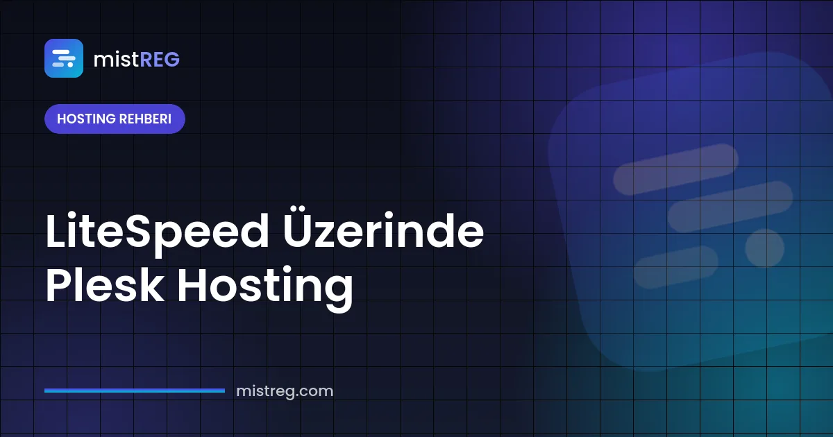 LiteSpeed web sunucusu üzerinde çalışan Plesk hosting kontrol paneli